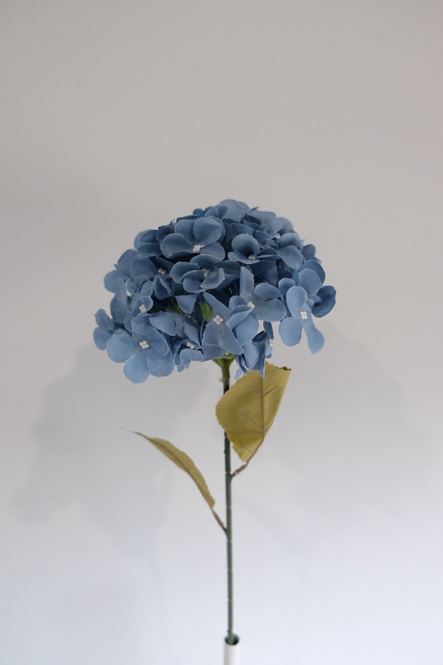 Premium Single Stem Hydrangea