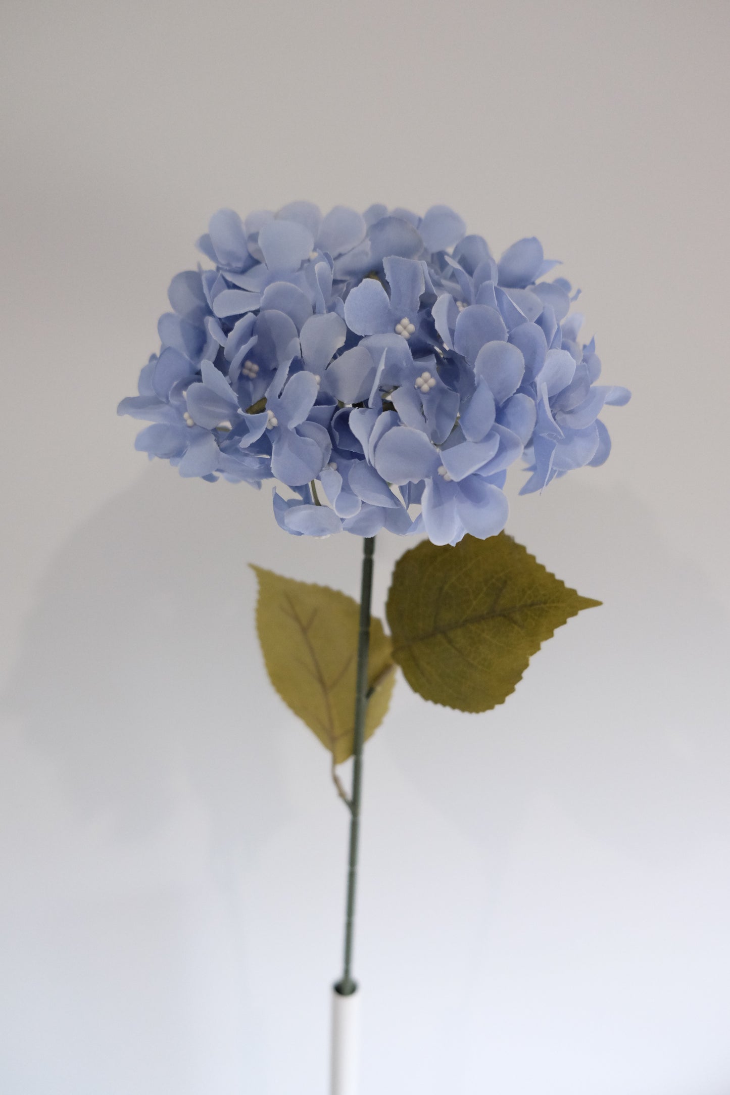 Premium Single Stem Hydrangea