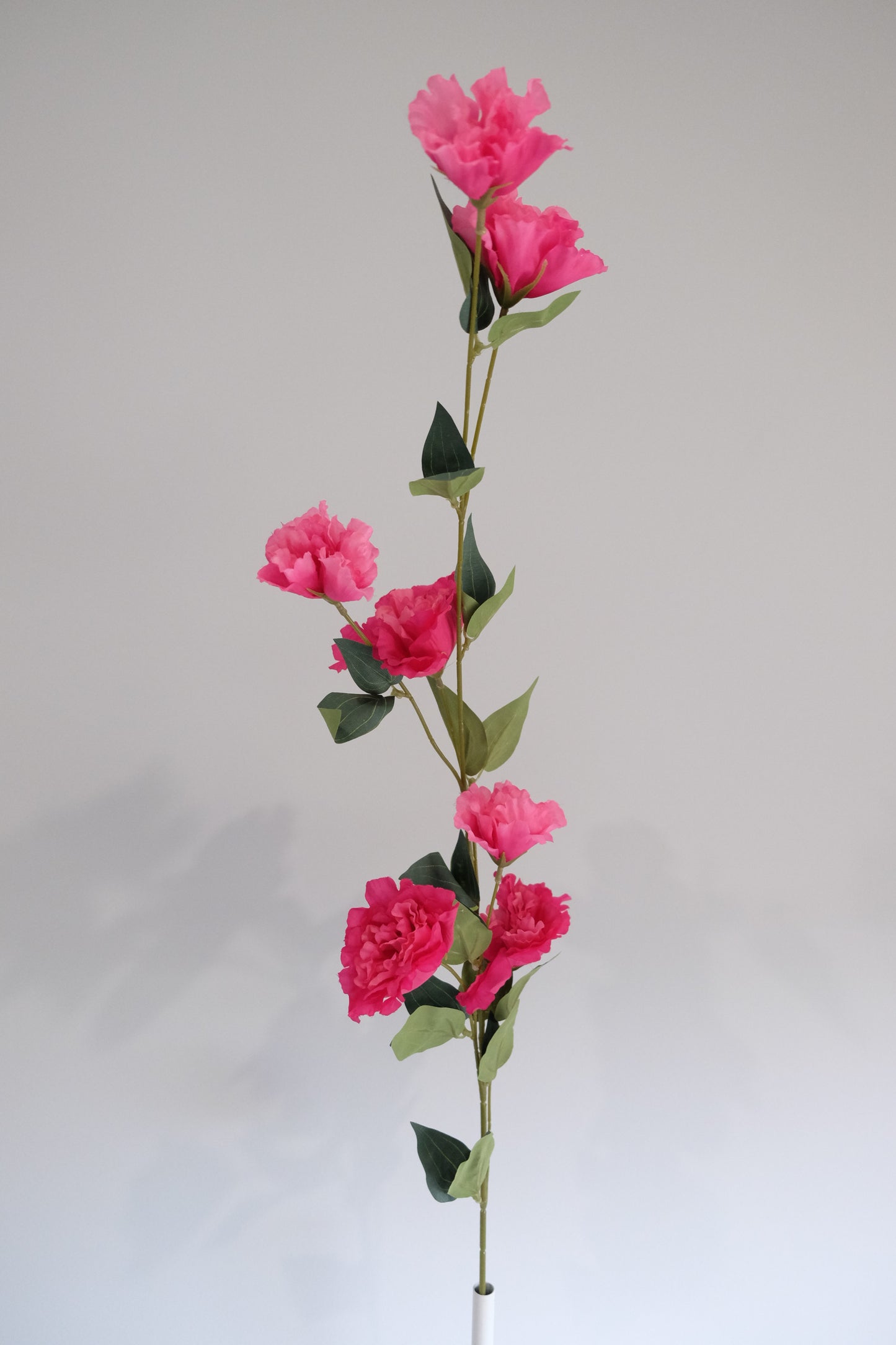 Lisianthus Stem (8 Colours)