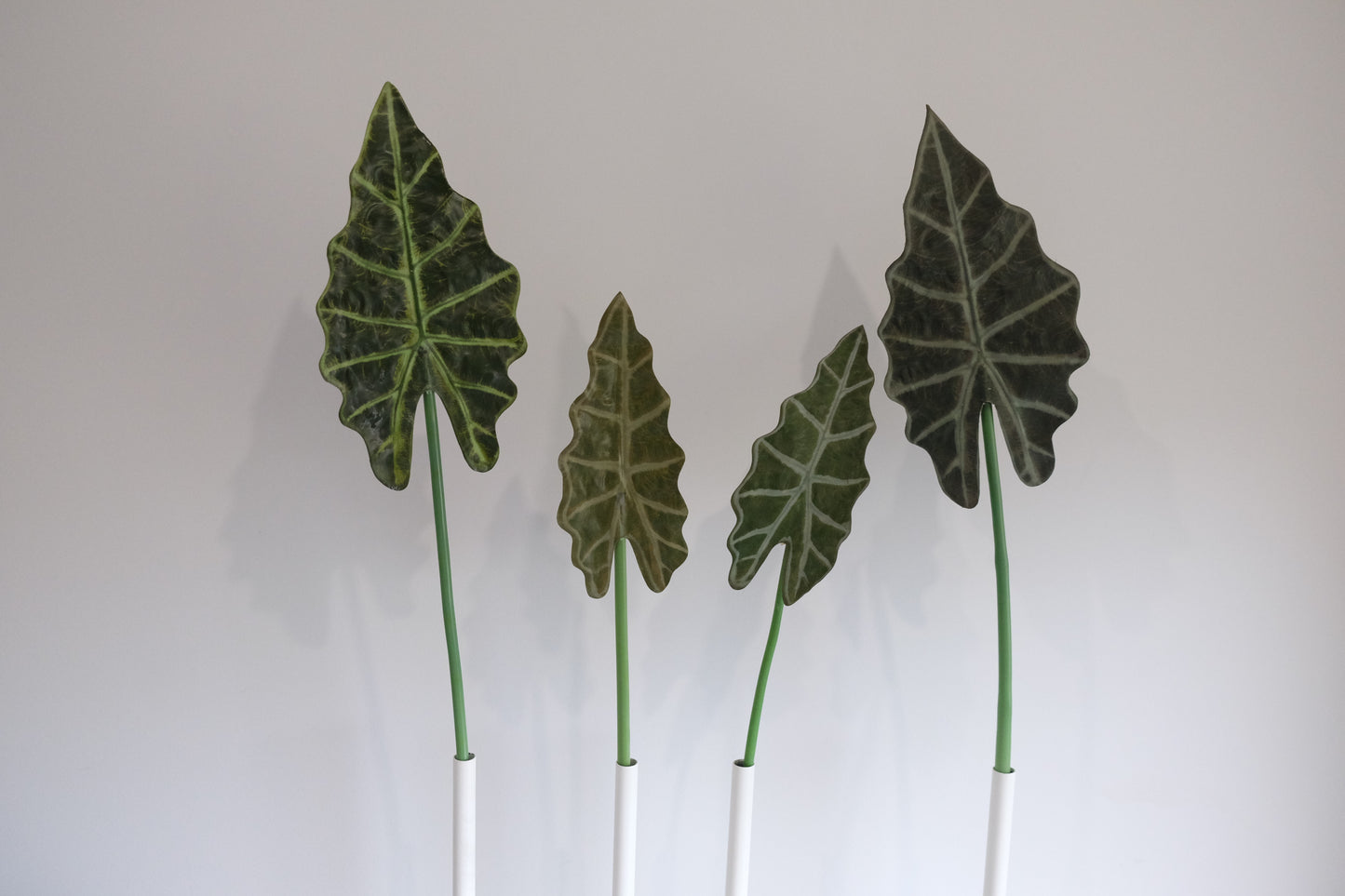 Alocasia Leaves Single Stem (2 sizes, 2 colours)