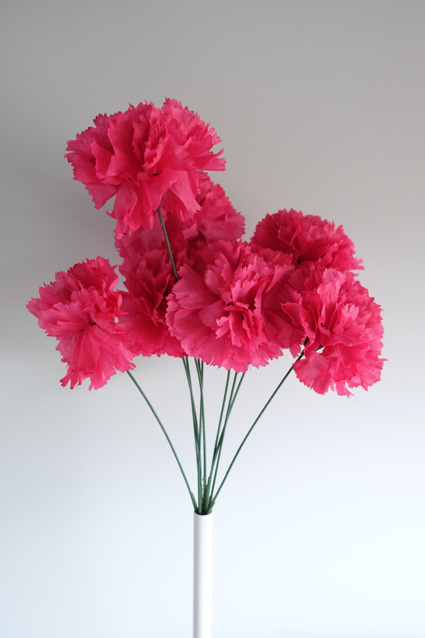 10H Carnation Bunch (5 Colours)