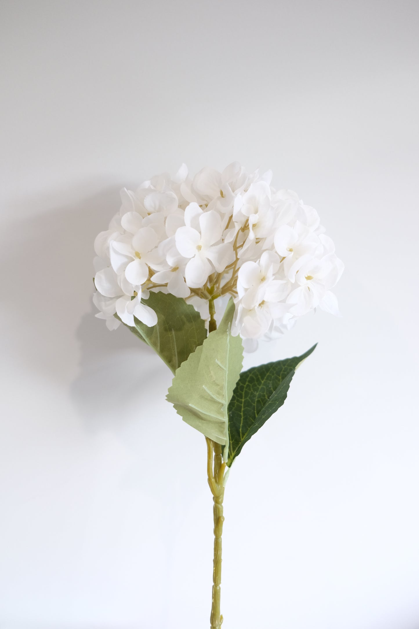 Single Stem Silk Hydrangea (7 Colours)