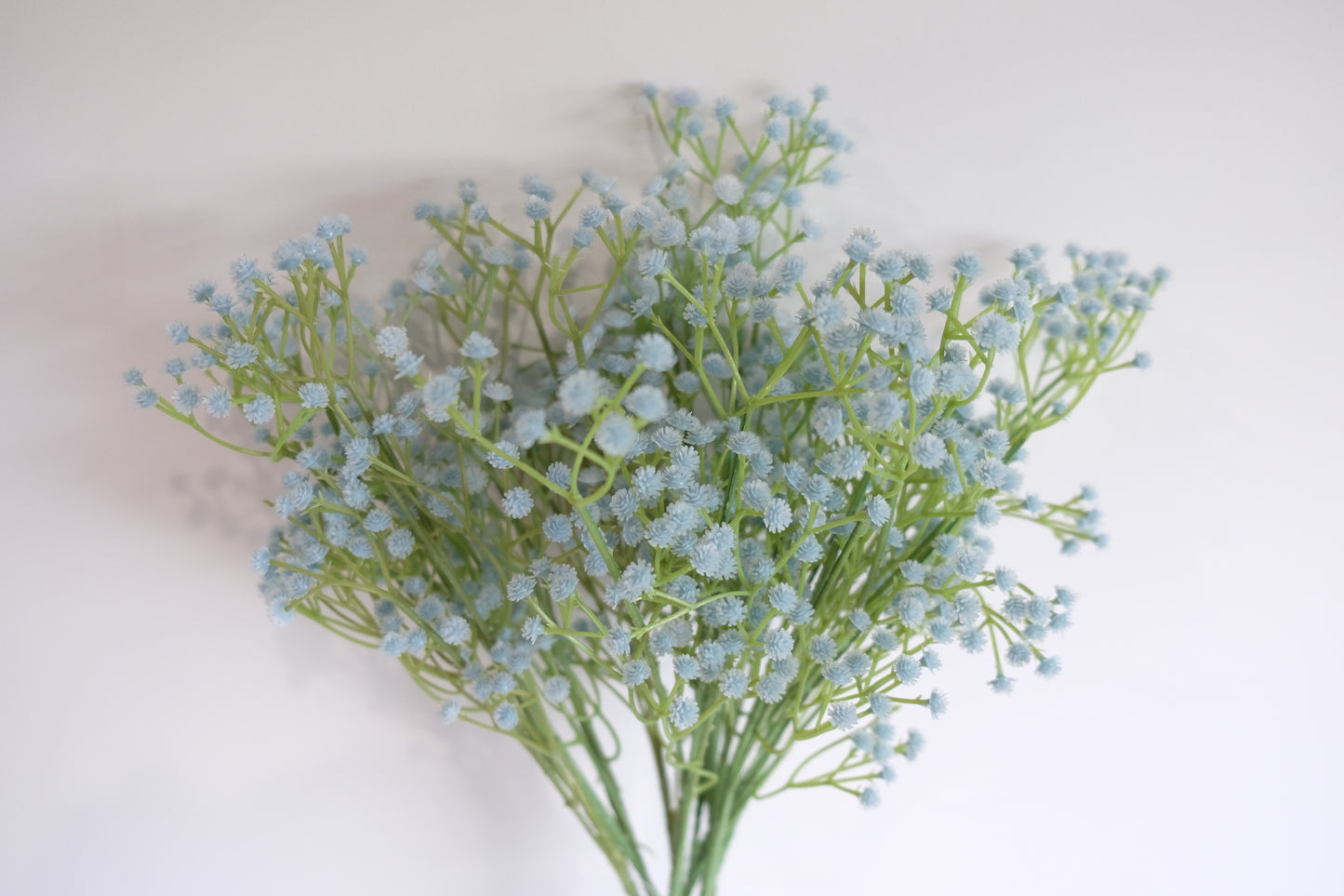 Coloured Baby's Breath (6 Colours)