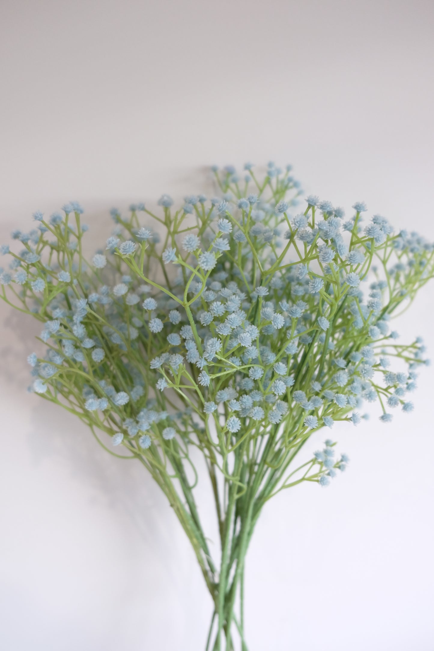 Coloured Baby's Breath (6 Colours)