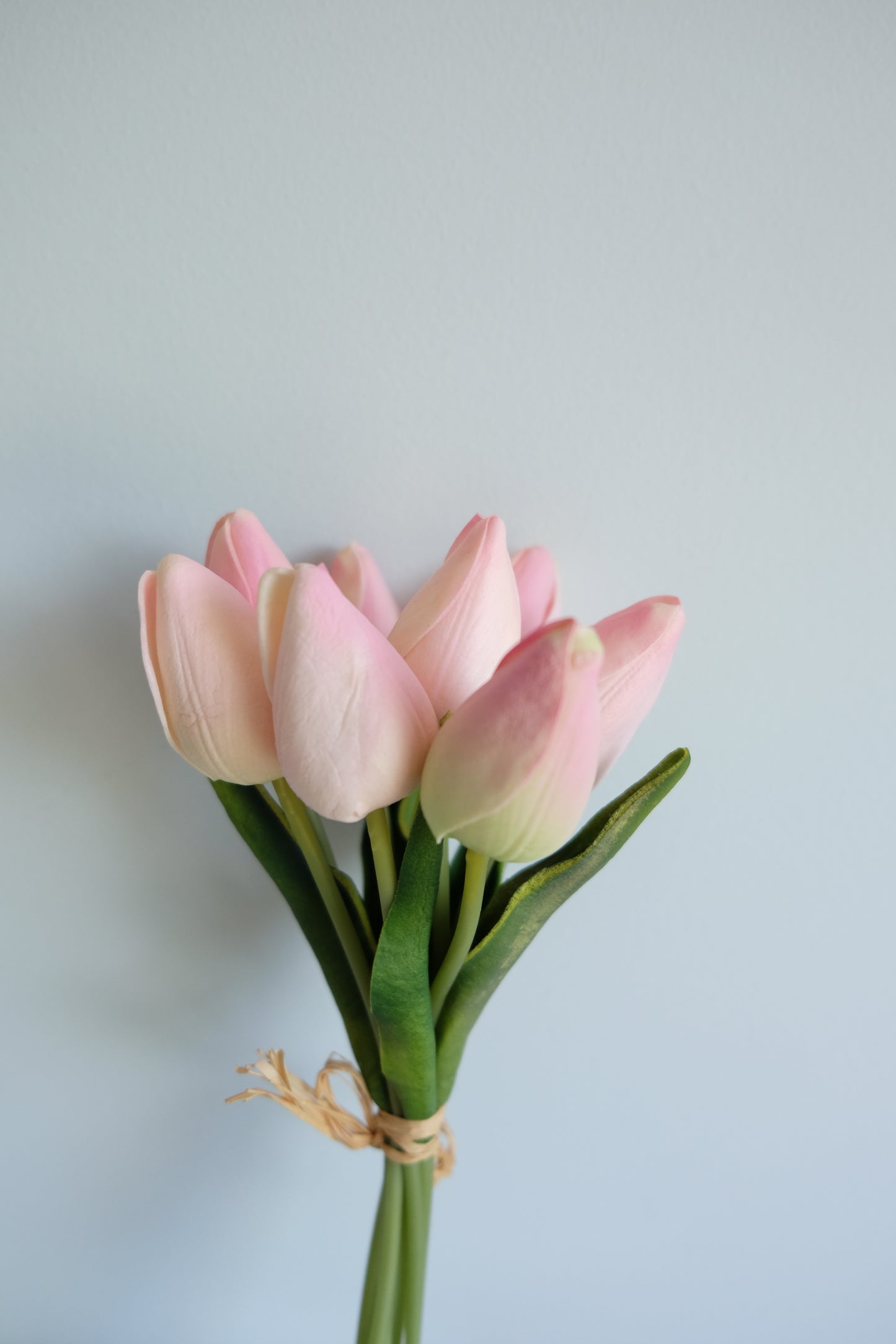 FRESH TOUCH Tulips Bunch (8 Stems)