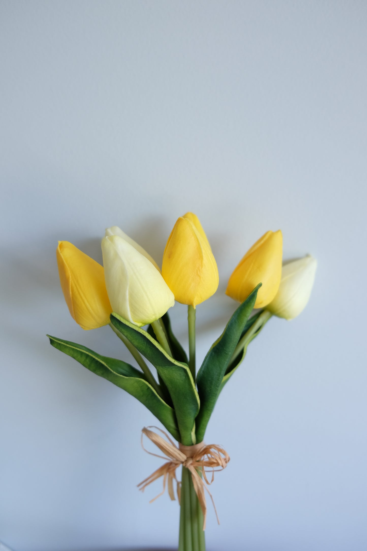 FRESH TOUCH Tulips Bunch (8 Stems)