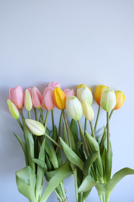 FRESH TOUCH 5H Tulip Bunch