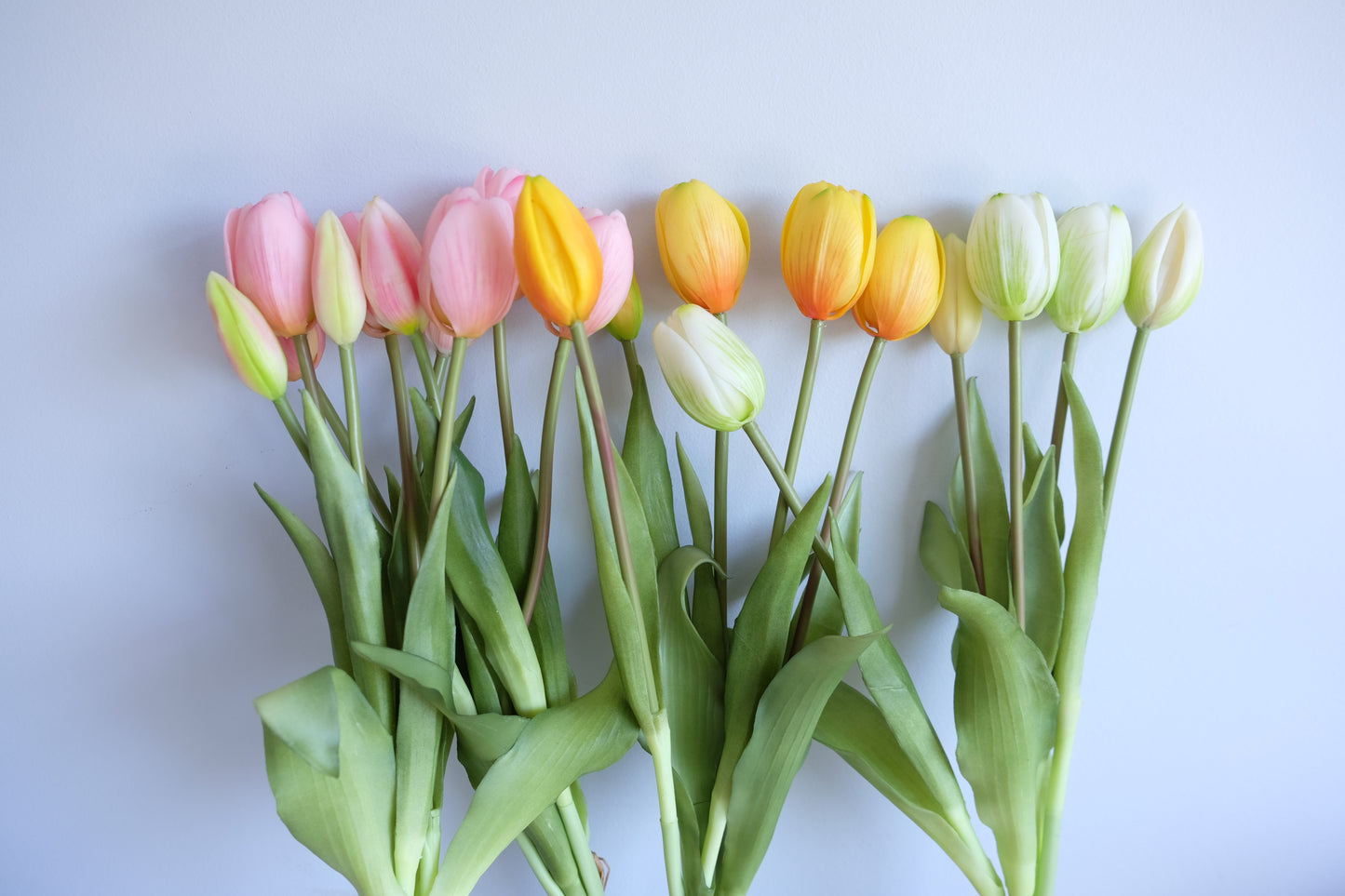 FRESH TOUCH 5H Tulip Bunch