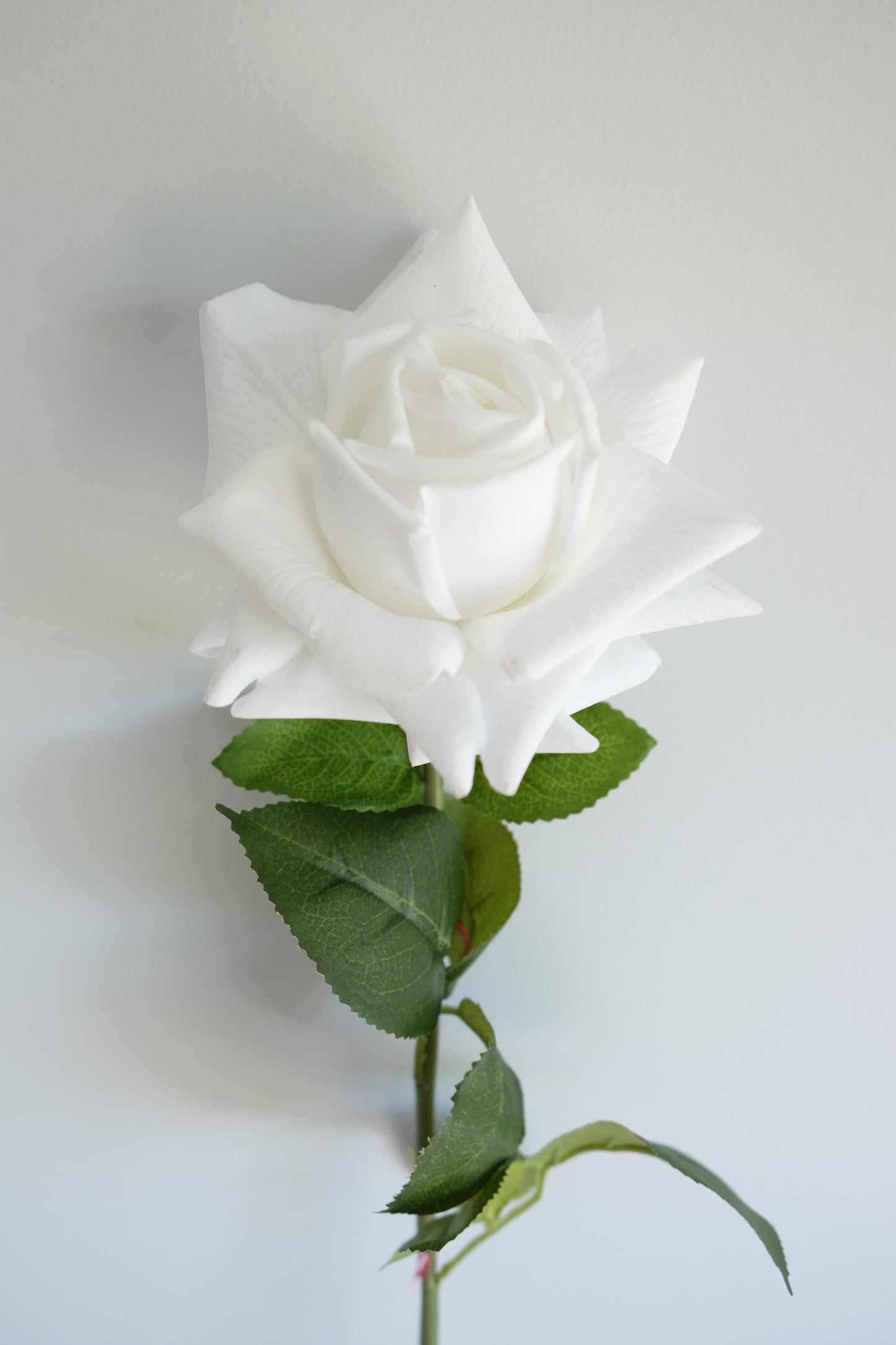 REAL TOUCH Rose Single Stem (4 Colours)