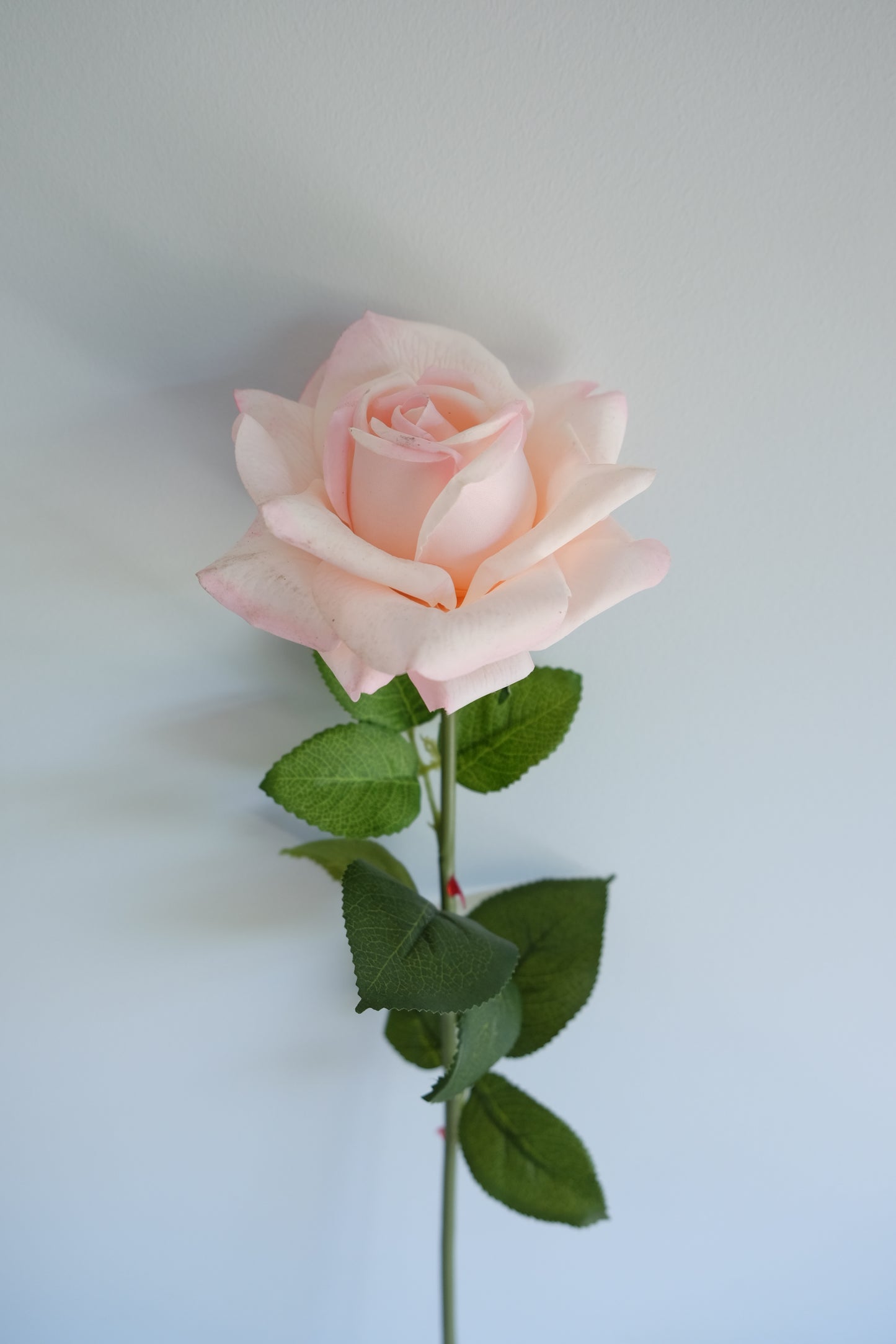 REAL TOUCH Rose Single Stem (4 Colours)