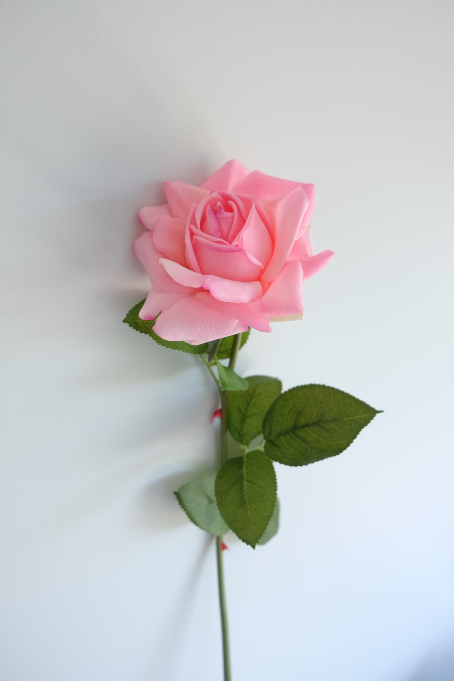 REAL TOUCH Rose Single Stem (4 Colours)