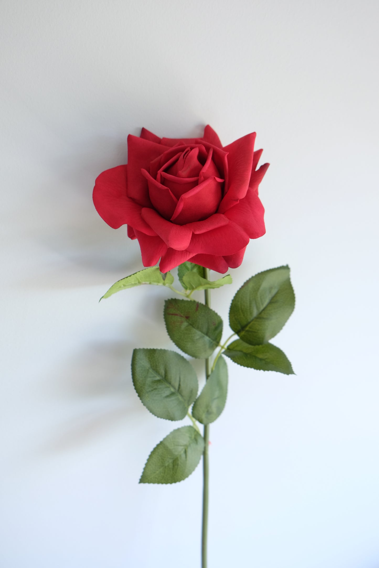 REAL TOUCH Rose Single Stem (4 Colours)