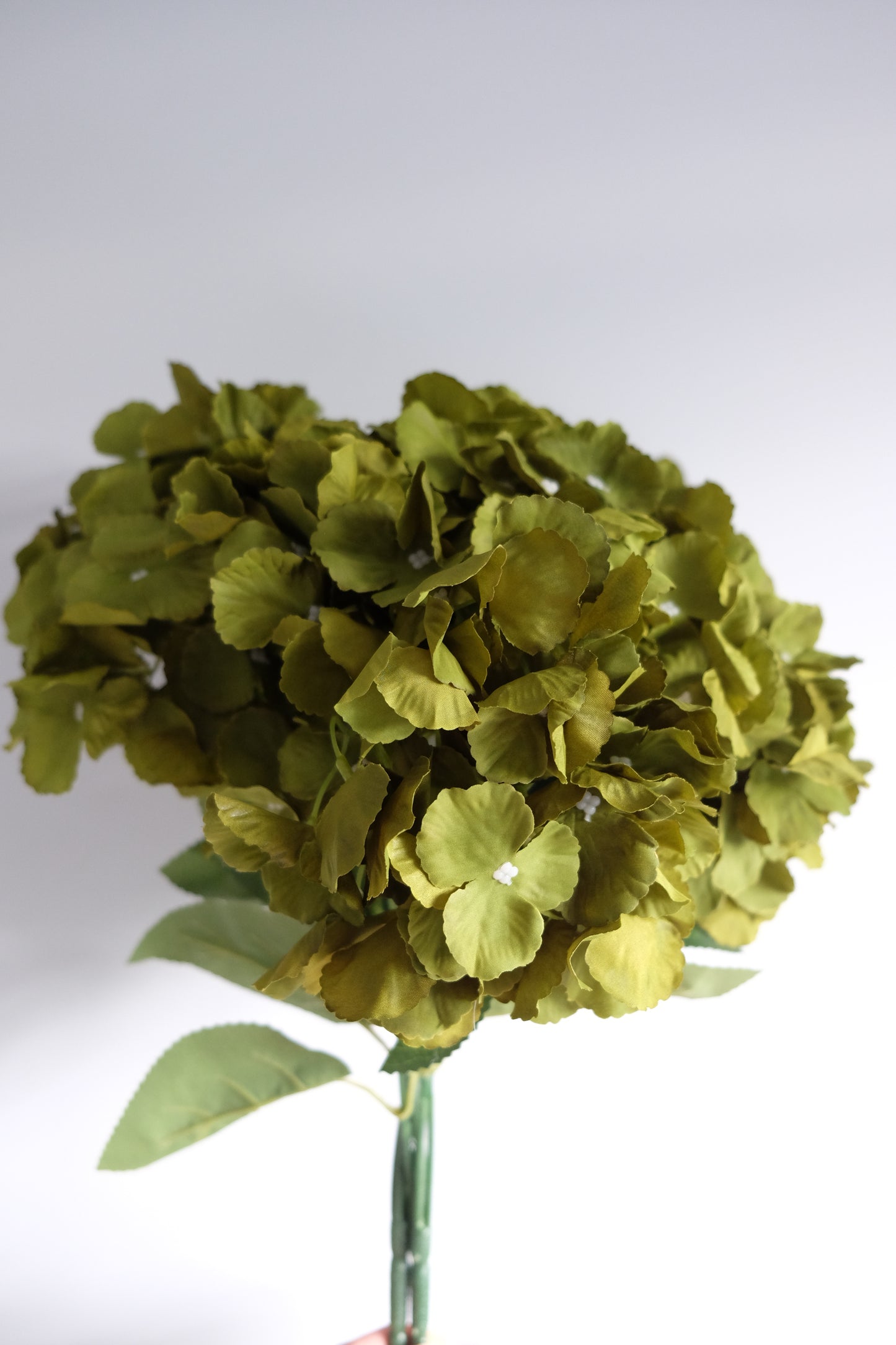 5H Native Hydrangea Bunch (10 Colours)