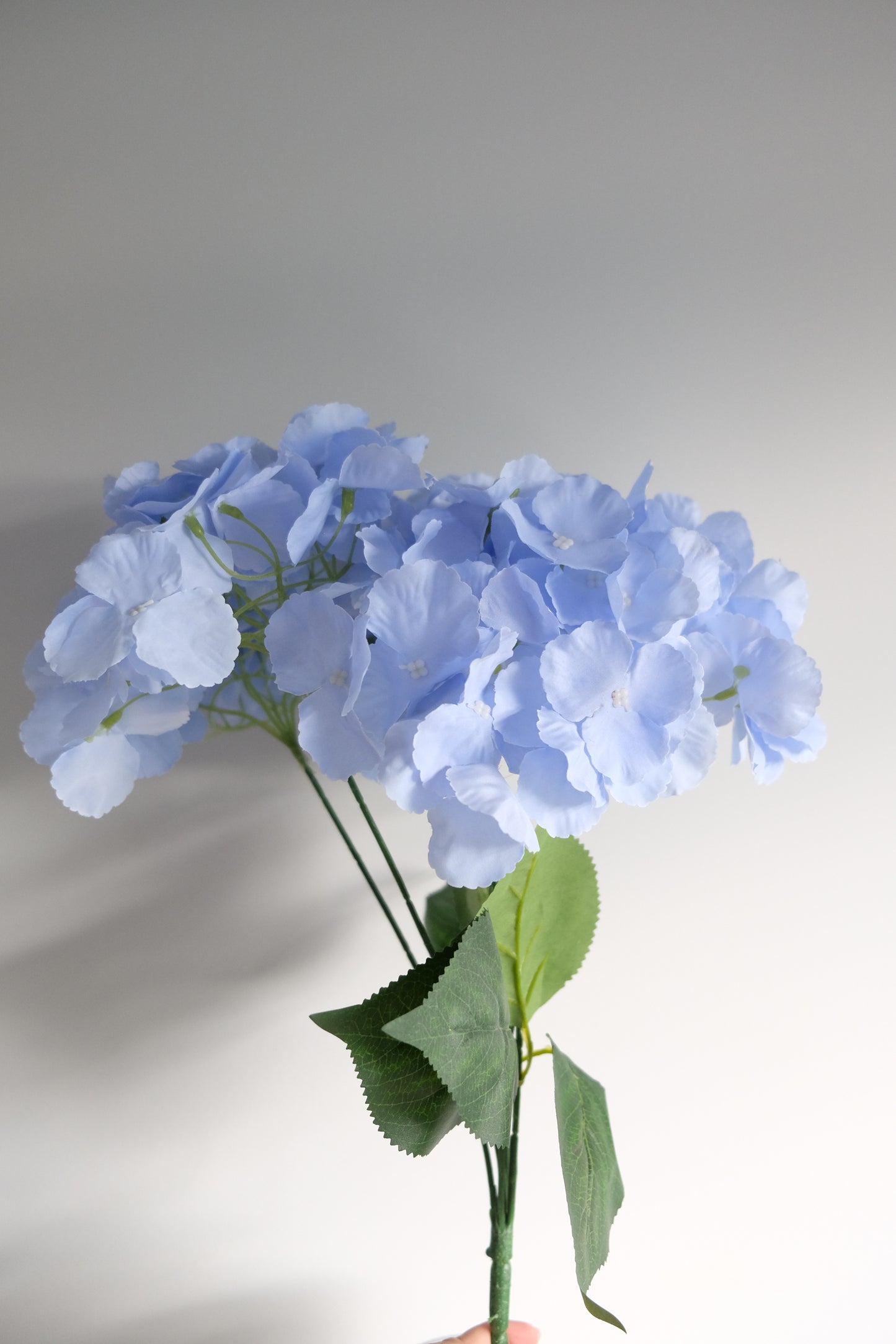 5H Native Hydrangea Bunch (10 Colours)