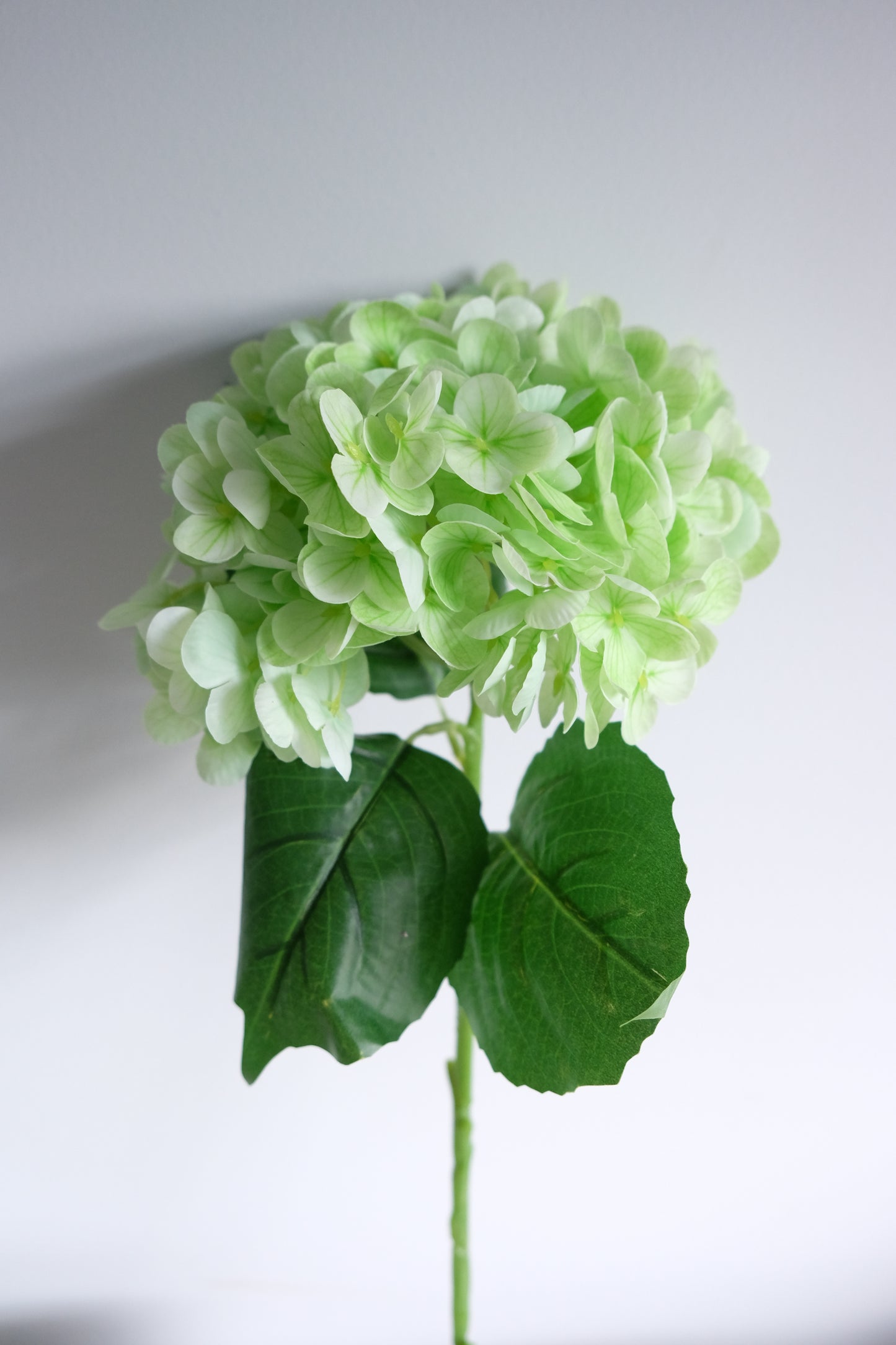 Real Touch Hydrangea Single Stem (8 Colours)