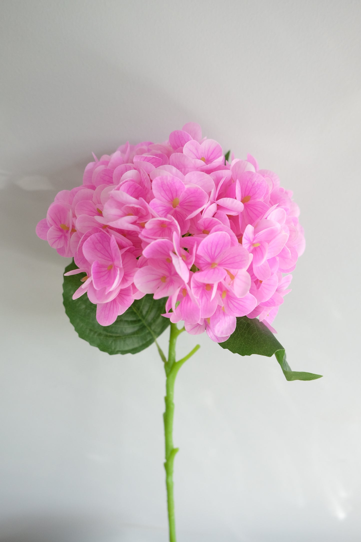 Real Touch Hydrangea Single Stem (8 Colours)