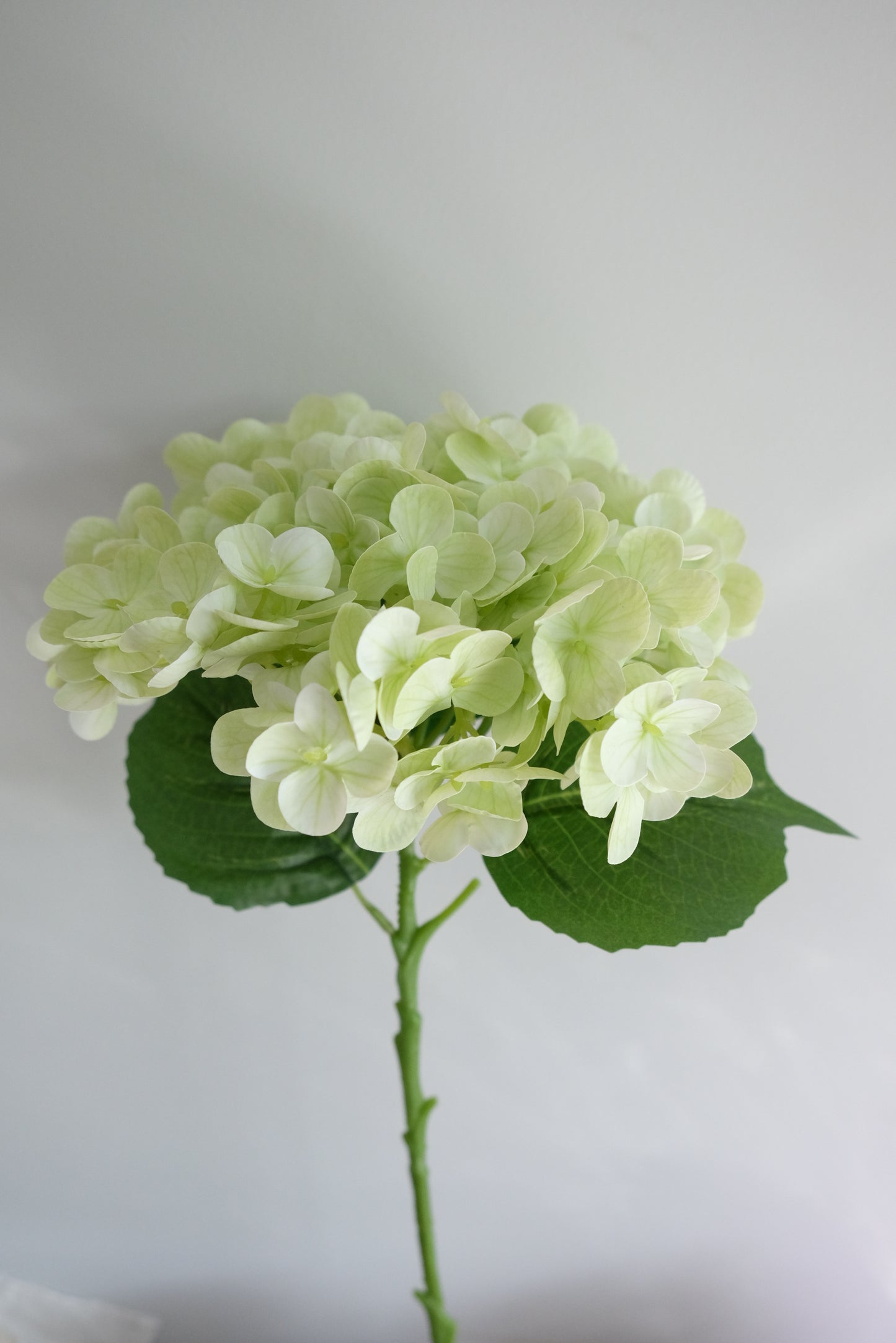 Real Touch Hydrangea Single Stem (8 Colours)