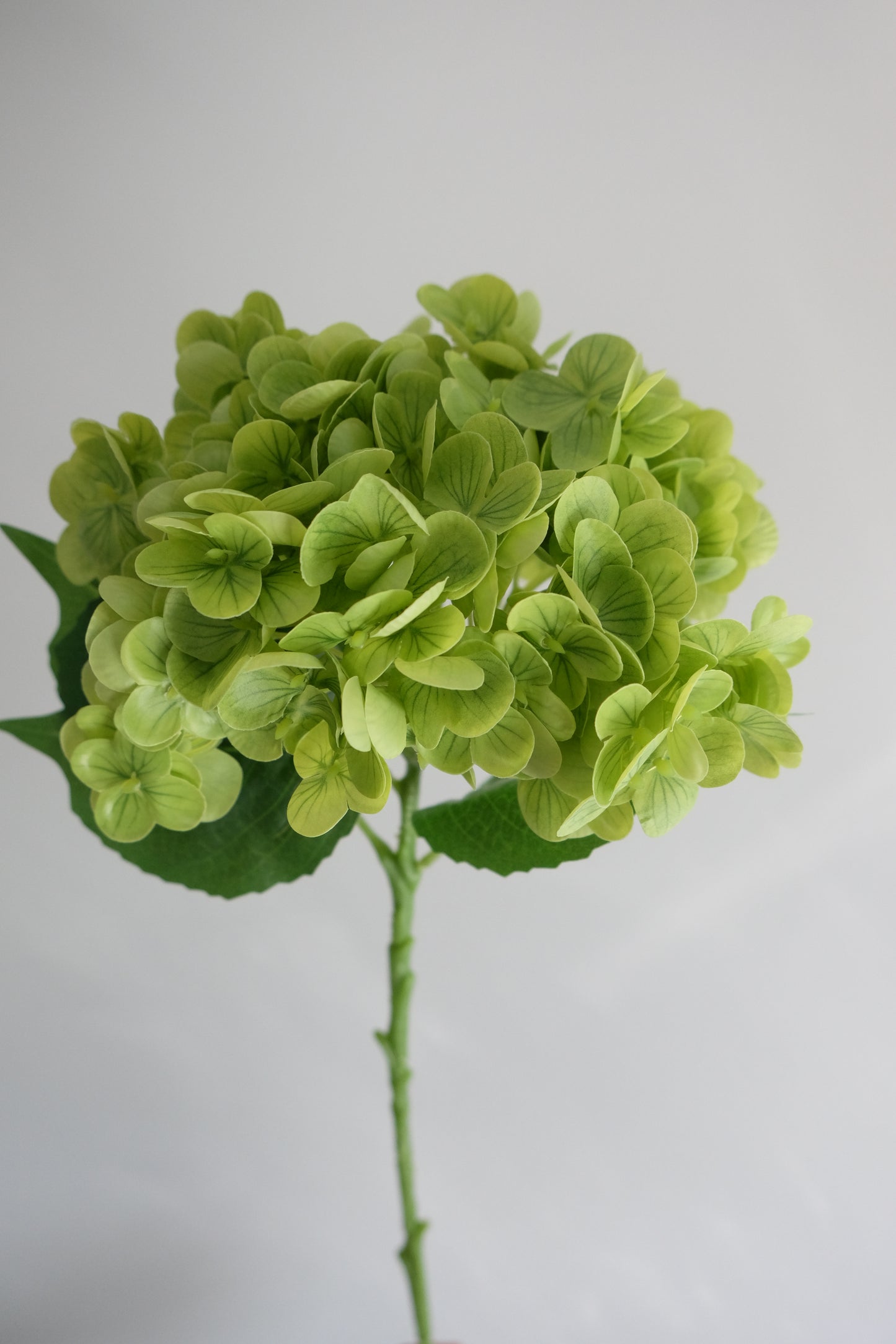 Real Touch Hydrangea Single Stem (8 Colours)