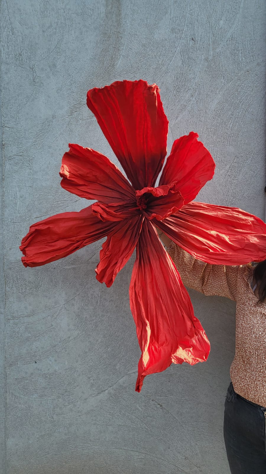 Giant Paper Flowers (3 sizes)