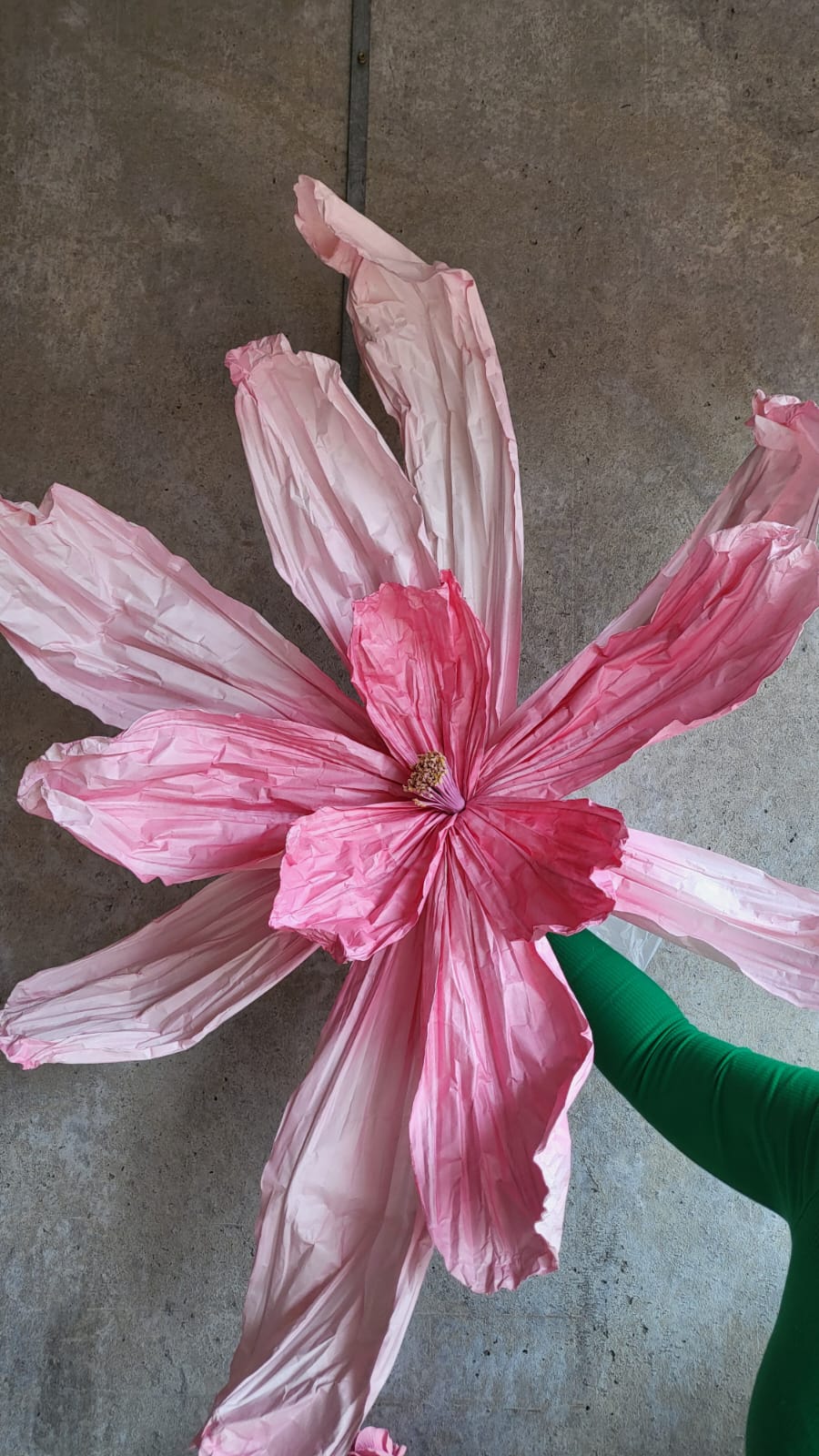 Giant Paper Flowers (3 sizes)